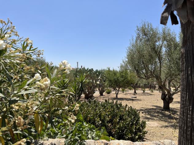 Villa in vendita a Modica - Foto 4