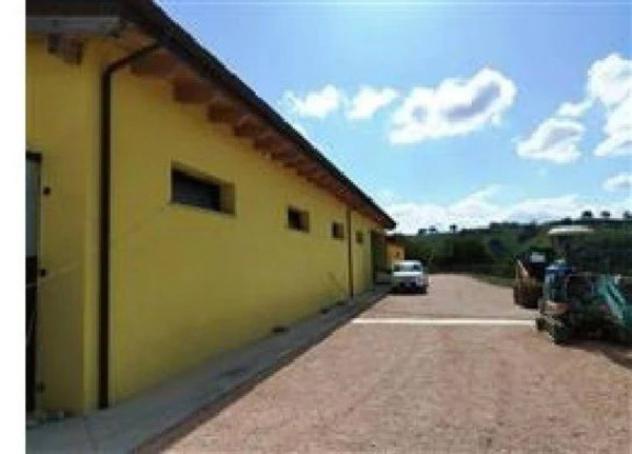 Immobile in asta di 844 m² in vendita a Montefelcino - Foto 2