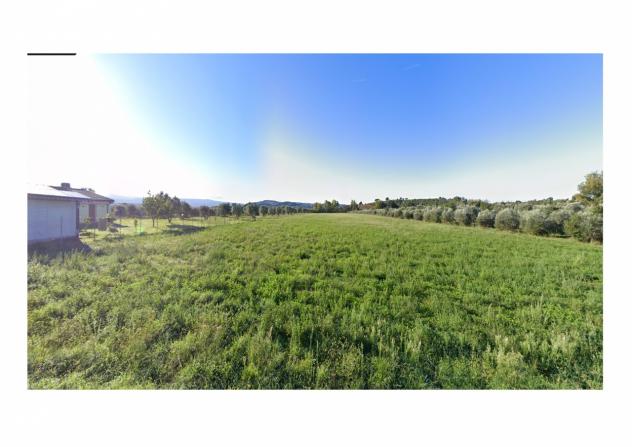 TERRENO AGRICOLO di 37360 mq (GROSSETO - Istia d'Ombrone) rif. TE.17