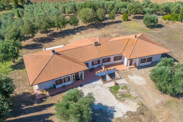 Villa in vendita a Montalto di Castro - Foto 10
