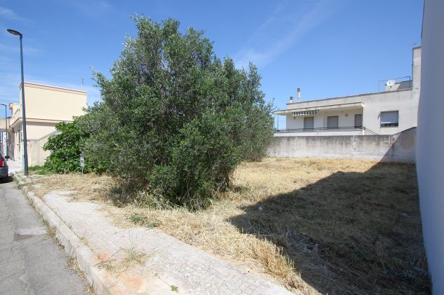Terreno edificabile con progetto - Foto 4