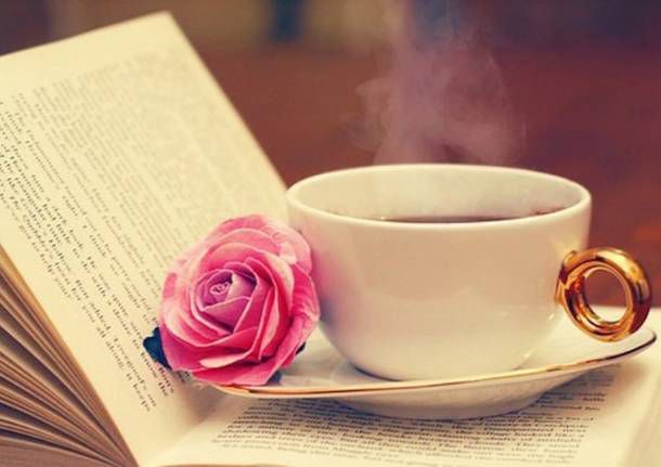 Correzione Bozze per Libri e Tesi livello professionale.