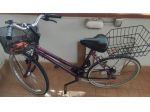 Bicicletta donna