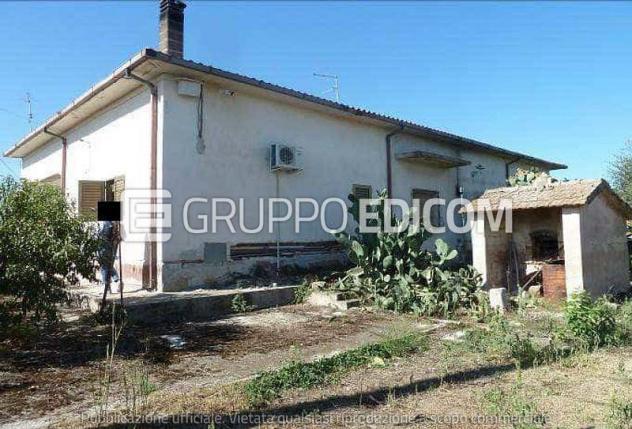 Fabbricato rurale in vendita a Scanzano Jonico - Rif. 4559089 - Foto 5