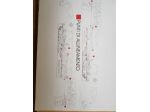 adesivi per furgone van jumpy citroen come in foto con fiancate disegnate