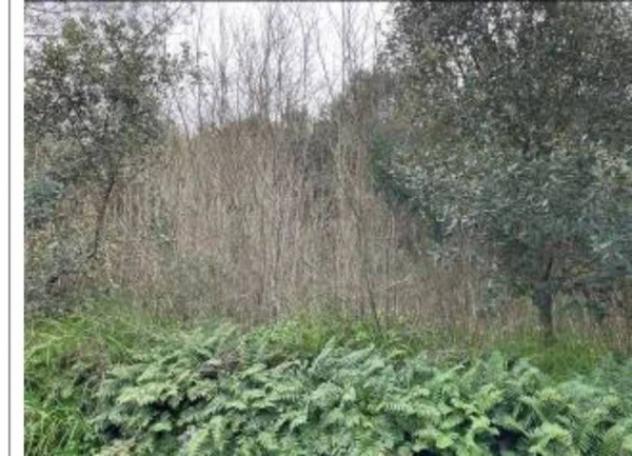 Immobile in asta di 23081 m² in vendita a Osilo - Foto 9