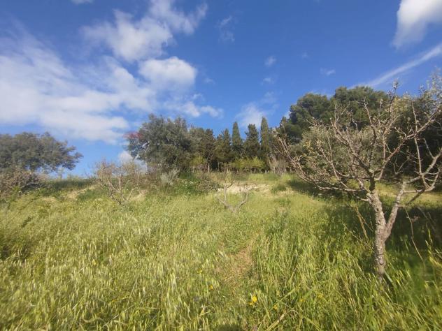 Terreno in vendita a Palazzolo Acreide - Foto 9
