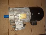 MOTORE TRIFASE A DOPPIA VELOCITA 2880-400 RPM COD. MADP100A212 N.E0283807-VBML2