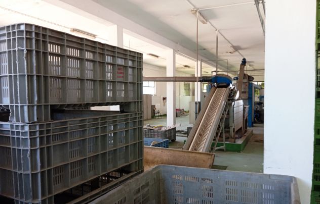 Opificio industriale in vendita a Lanciano (CH) - Foto 13