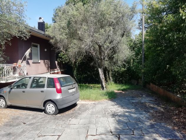 Villa indipendente con uliveto, accesso privato al fiume e vista Alpi Apuane – M - Foto 8