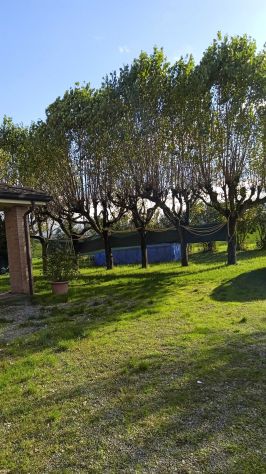 Vendesi villa bifamiliare a Corcagnano - Foto 4