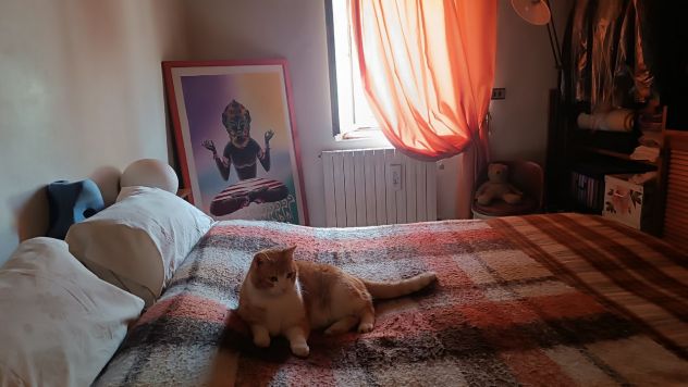 PISTOIA Giampierone appartamento indipendente a pochi minuti dal Viale Adua - Foto 10
