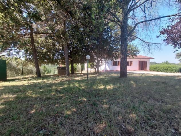 Casa singola in vendita a Montecastello - Pontedera 250 mq Rif: 1279490 - Foto 3