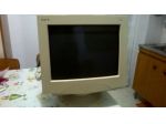 Monitor Acer 7377xe 17 Pollici.