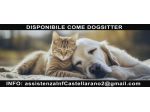 Adoro gli animali tutti.... Disponibile come DoGSitteR
