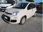 FIAT Panda Panda 1.2 Easy 69cv SOLO 68.000 KM CON KIT DISTRIBUZIONE NUOVA