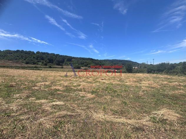 Terreno Agricolo - Rif. 2672 - Foto 5