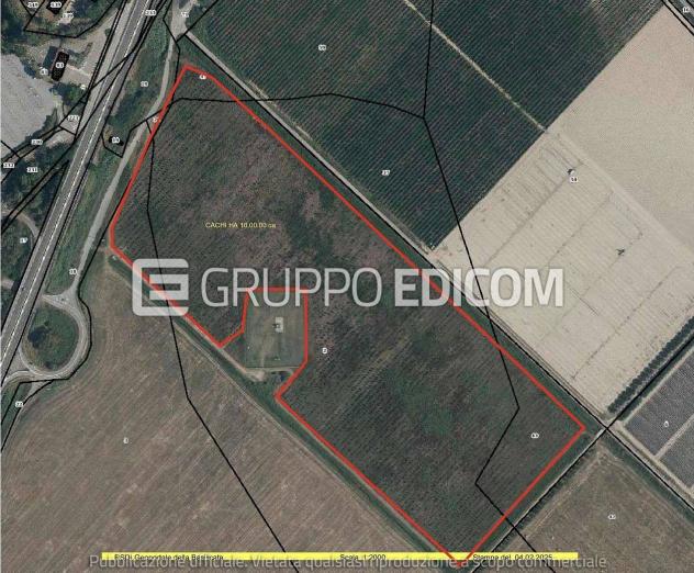 Terreno in vendita a Rotondella - Rif. 4549506 - Foto 4