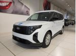 Ford Tourneo Courier 1.0 EcoBoost 125CV Titanium Trasporto Disabili 4+1