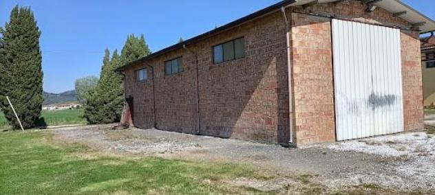 Capannone artigianale in vendita a Vecchiano 180 mq Rif: 1343707 - Foto 5