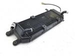 SUZUKI UC EPICURO 150 RADIATORE 1999 2001 AY111