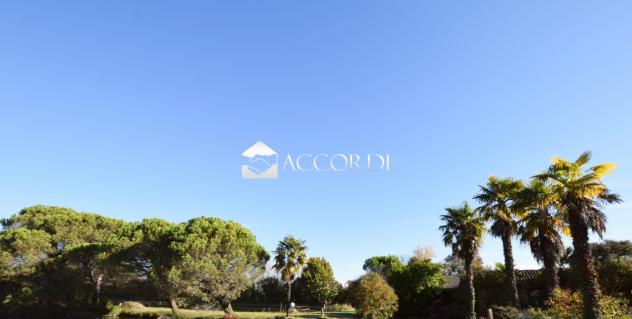 TERRENO AGRICOLO di 54401 mq (QUARTO D'ALTINO) rif. SWD1 - Foto 2