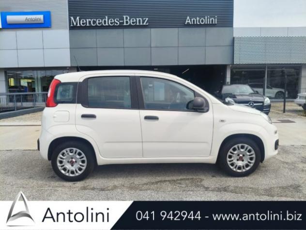 FIAT Panda 1.0 FireFly S&S Hybrid rif. 24044007