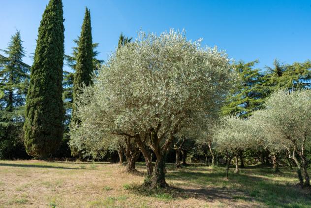 Villa in vendita a Arcugnano - Foto 19