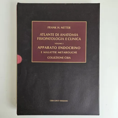 Netter, 7 Volumi - Collezione Ciba Geigy - Frank Netter - 1985 - TRACCIATA! - Foto 7