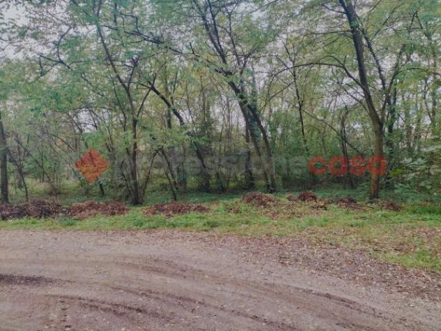 Terreno di 1200 m² in vendita a Cressa - Foto 7