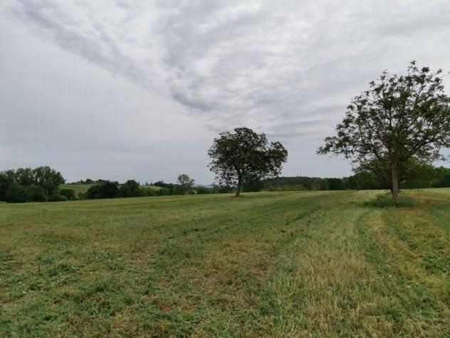 Terreno agricolo in vendita a Poggibonsi 3500 mq Rif: 1290553 - Foto 6