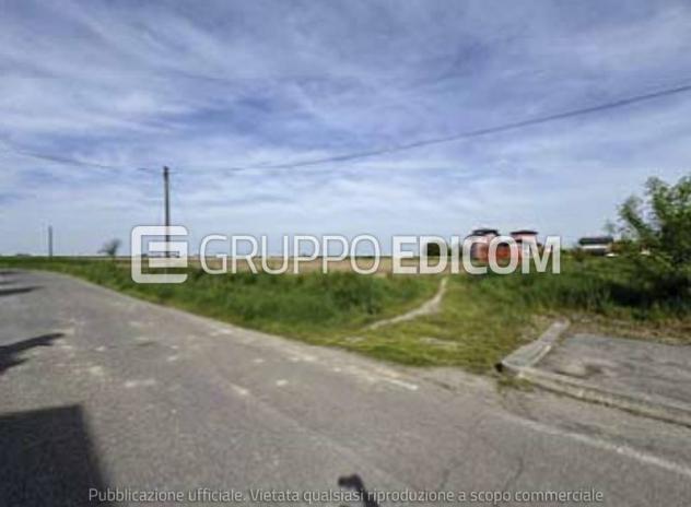 Terreno di 5923 mq in vendita a Nogara - Rif. 4555083 - Foto 5