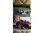 Cartoline Ayrton Senna 1998 Mark Webber misure 18x27