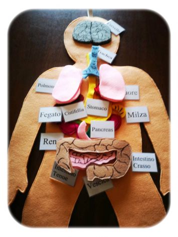 Libri Sensoriali bambini "Il Corpo Umano" - Foto 5