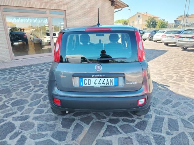 Fiat Panda 1.0 FireFly S&S Hybrid Easy - Foto 3