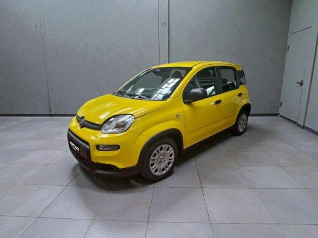 FIAT Pandina Pandina 1.0 firefly hybrid Pop 65cv - Foto 5
