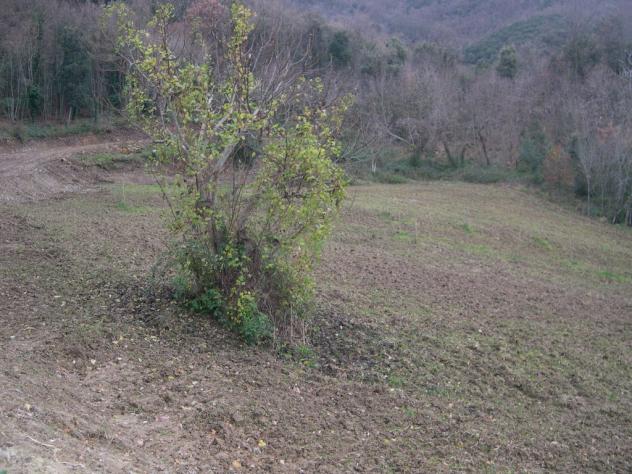 Casa singola in vendita a Sassa - Montecatini Val di Cecina 75 mq Rif: 219069 - Foto 5