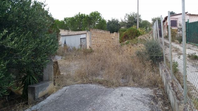 Terreno agricolo 3000 Mq con recinzione - Foto 4