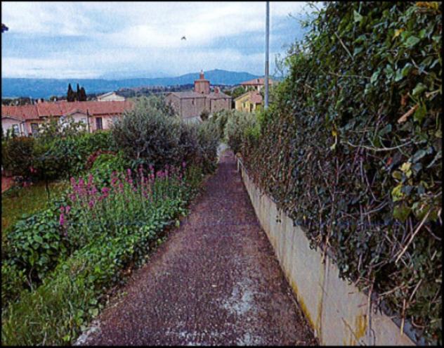 Immobile in asta di 1 m² in vendita a Montegabbione - Foto 12