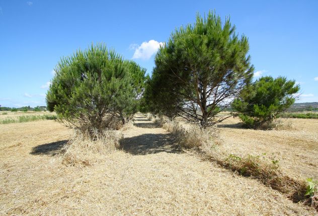 Terreno edificabile - Foto 7