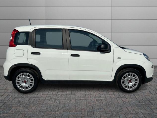 FIAT Panda 1.0 firefly hybrid City Life s&amp - Foto 3