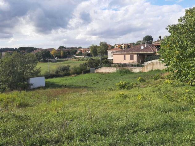 Industriale in vendita a Montecastrilli - Foto 3