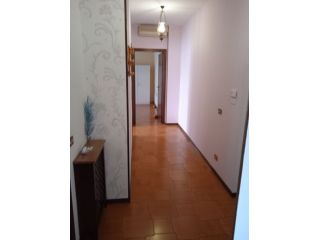 Appartamento in affitto