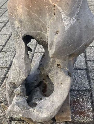 Rocce pietra monolitiche ornamentali decorative da giardino - Foto 9