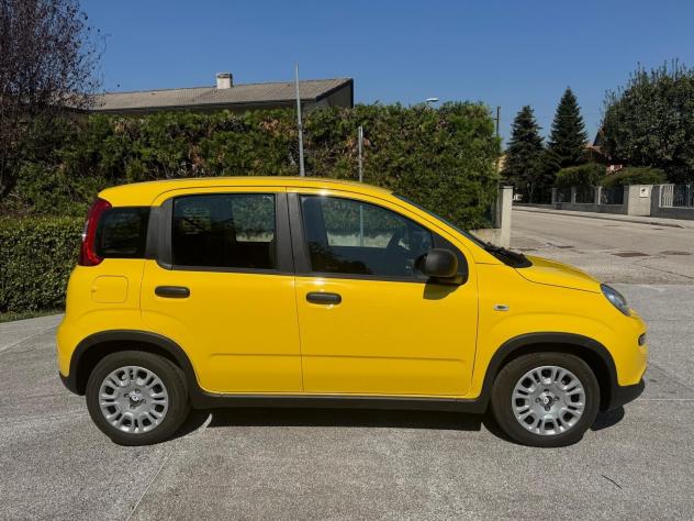 Fiat Panda 1.0 FireFly S&S Hybrid Pandina- 1.516 KM 2024 - Foto 3