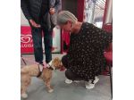 BADANTE. LISSONE