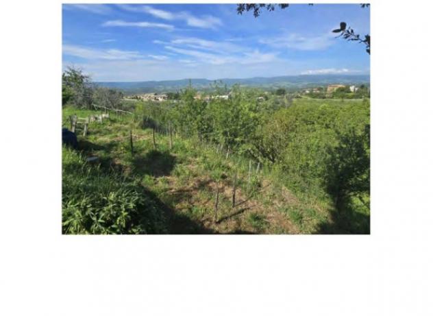 Immobile in asta di 125 m² in vendita a Ficulle - Foto 5