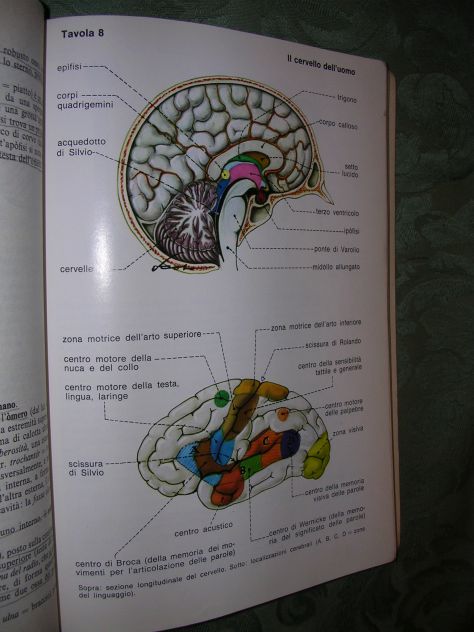 BIOLOGIA - Foto 9