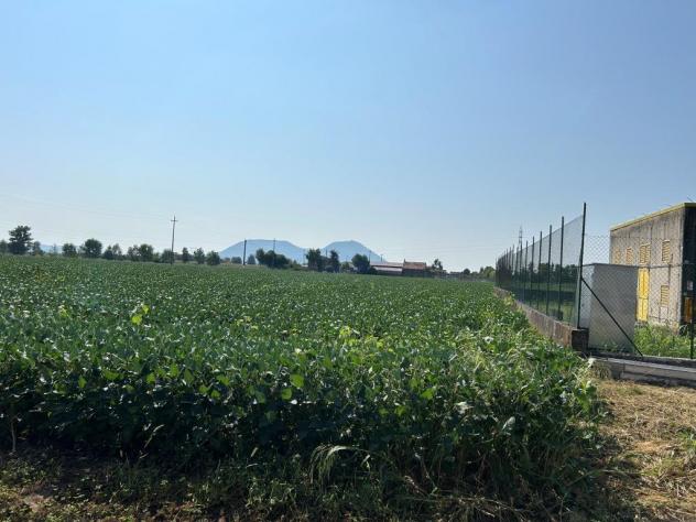 Seminativo in vendita a Castegnero - Foto 19