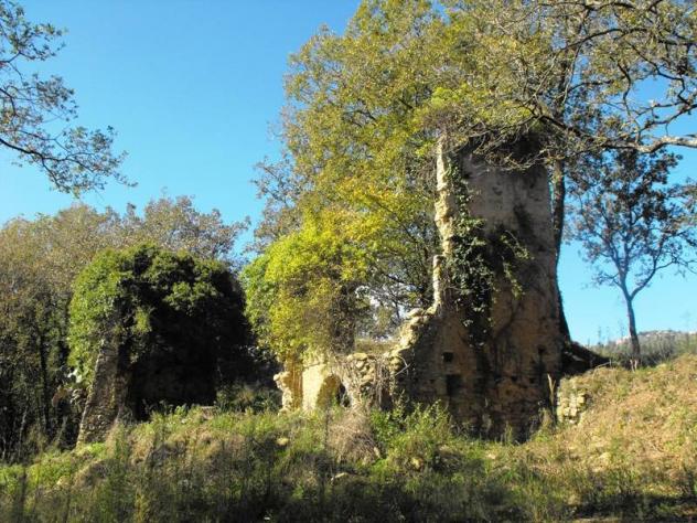 Agricolo in Via Salicuneta - Foto 13